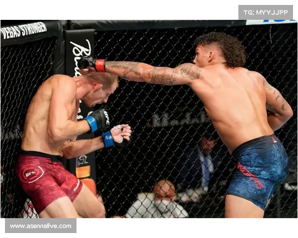 UFC 321头条主赛因戳眼意外终止，重量级冠军战以“无结果”收场引发争议